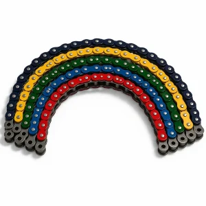 X-Ring motorcycle chain 1